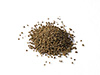 celery seed