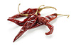 red dried chile peppers