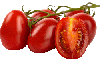 vine-ripened tomatoes