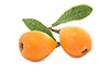 loquats