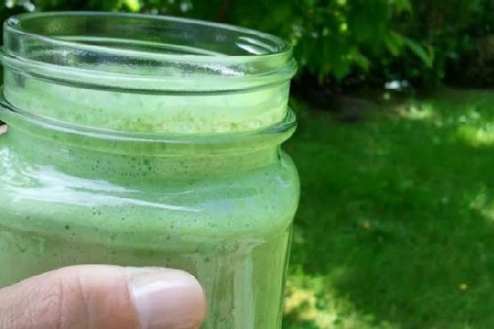 Skinny green monster smoothie