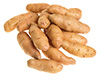 fingerling potatoes