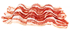 bacon