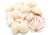 sea scallops