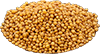 brown mustard seeds