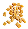 fenugreek seeds