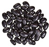 dried black beans