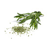 dried tarragon