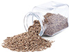 caraway seed