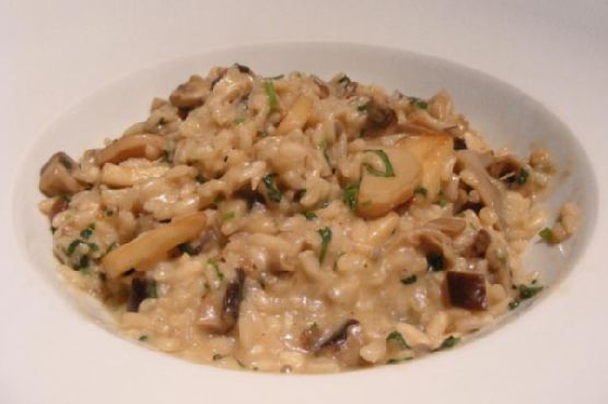 Farmer's market wild mushroom risotto