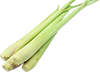 lemongrass