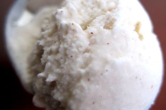 Snickerdoodle ice cream