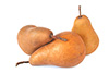 bosc pear