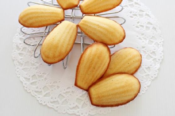 Yoghurt honey madeleines