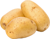 yukon gold potato