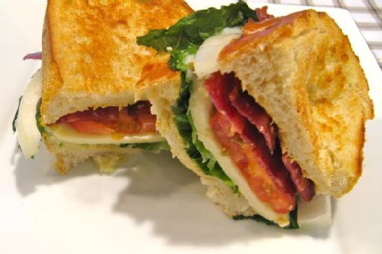 Turkey blt with creamy dijon mustard