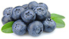 canned wild blueberries