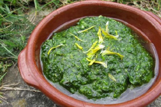 Dandelion pesto