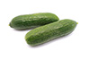 lebanese cucumber