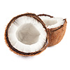 fresh coconut meat