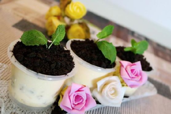 Valentine's day potted plant ice-cream desserts