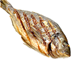 sea bream