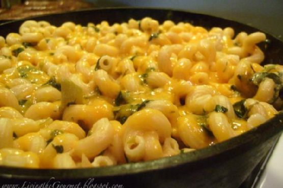 No bake macaroni and cheese