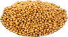 mustard seeds