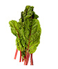 swiss chard