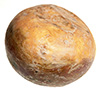 rutabaga