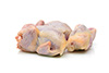 cornish hens