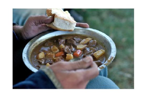 Venison stew