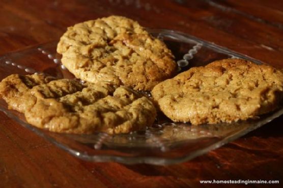 Flour-less peanut butter cookies