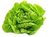 boston lettuce leaves