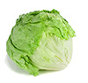 lettuce leaves