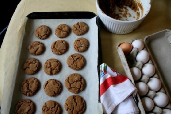 Ginger molasses rounds