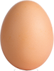 free range eggs