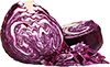 red cabbage