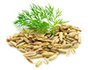 fennel seeds