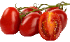 roma tomatoes