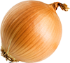 onion