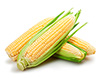 fresh corn