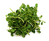 watercress