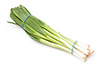 green onions