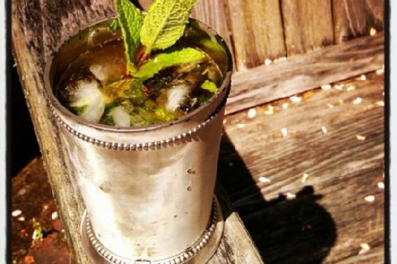 Classic mint julep