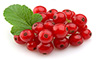 currants